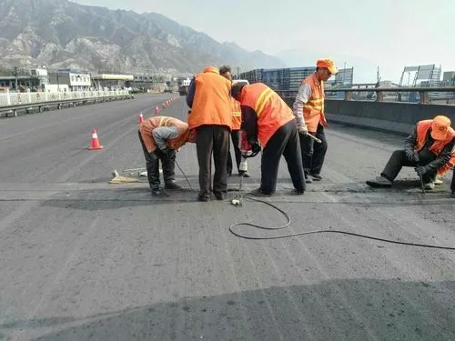 津南道路桥梁病害治理